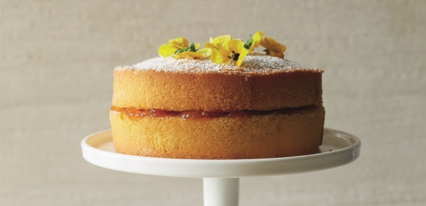 Basic Sponge Cake Food24