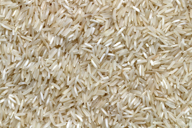 rice close up