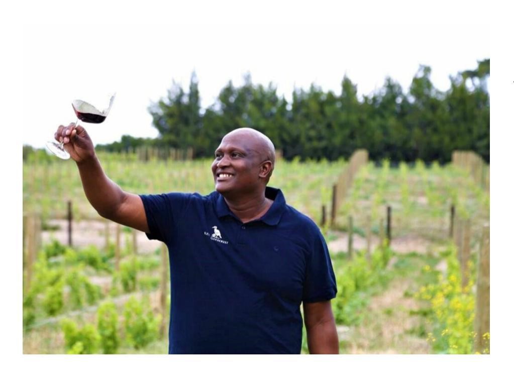 Klein Goederust: Franschhoek's first black-owned wine farm with a ...