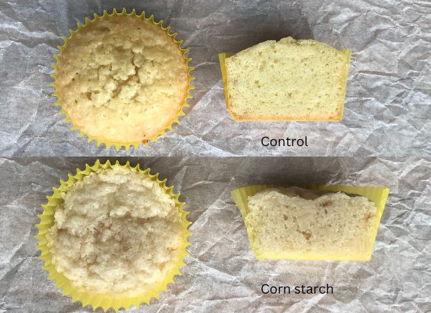 Egg alternatives and how they affect vanilla cupcakes