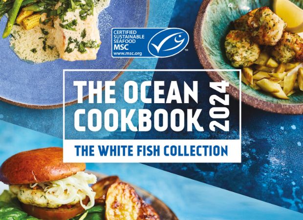 MSC-cookbook